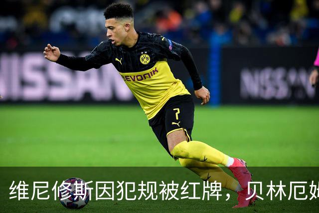 维尼修斯因犯规被红牌，贝林厄姆表示全力支持